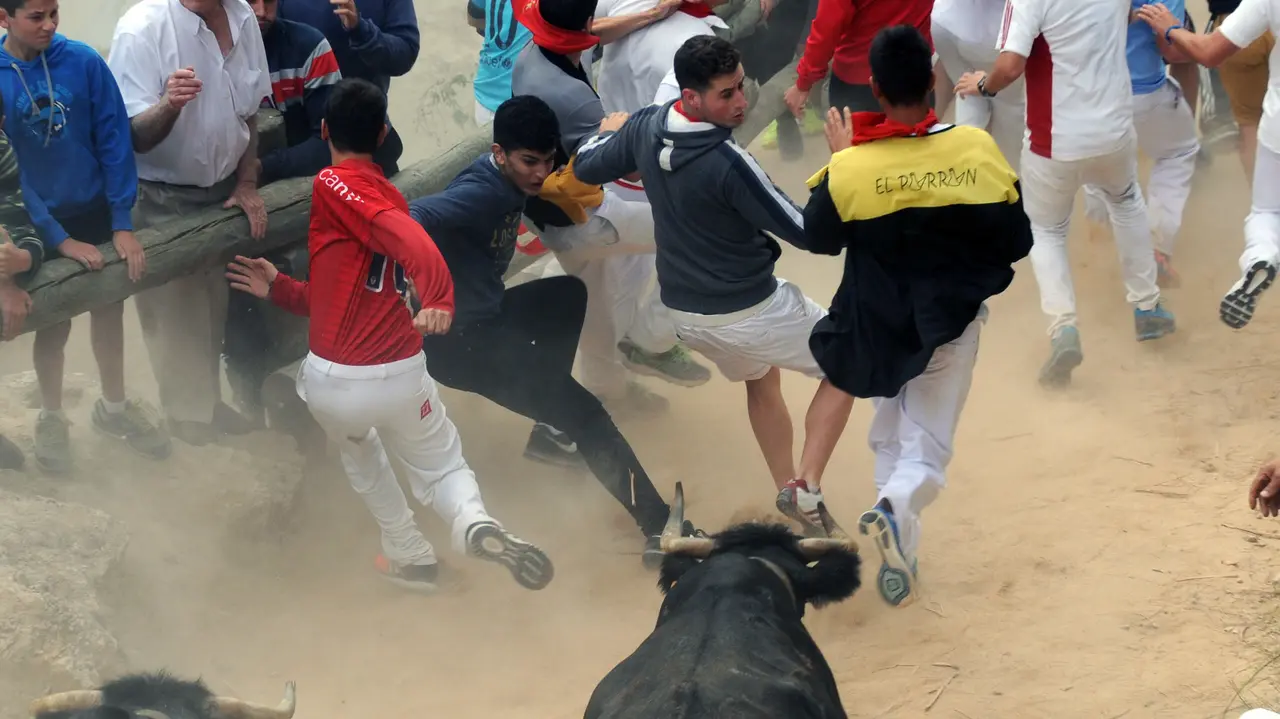 Encierro del Pilón de Falces (M. Osés) (4)