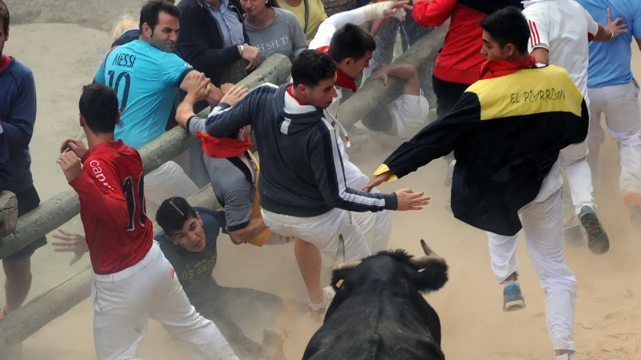 Encierro del Pilón de Falces (M. Osés) (5)