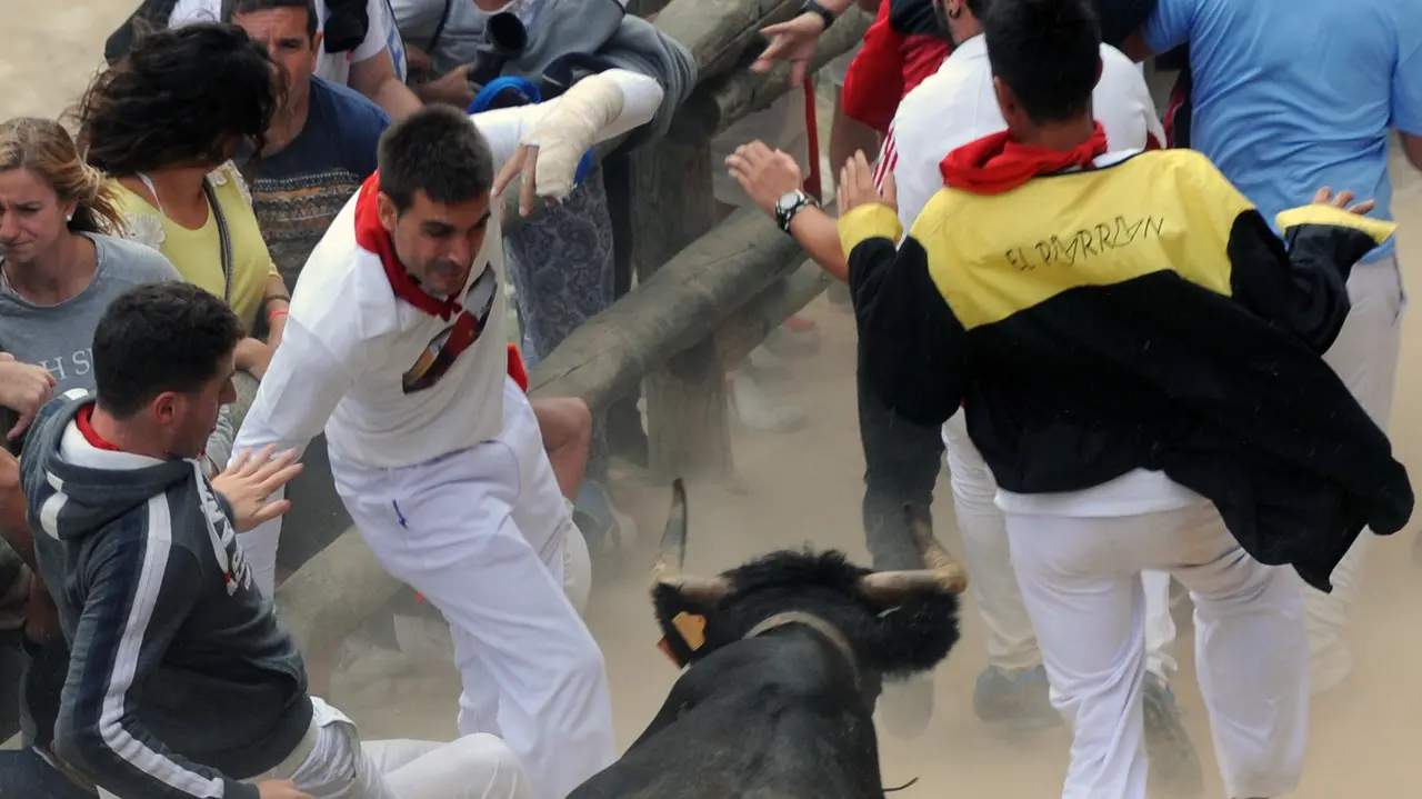 Encierro del Pilón de Falces (M. Osés) (6)