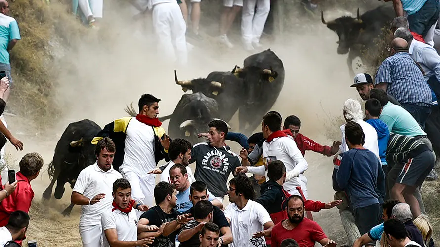 Séptimo encierro del Pilón. PABLO LASAOSA 01