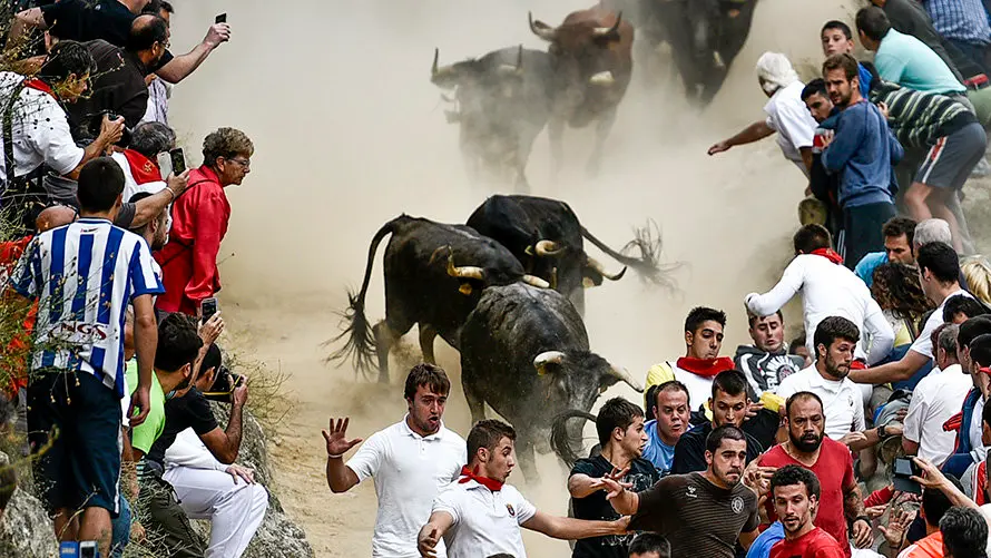 Séptimo encierro del Pilón. PABLO LASAOSA 03