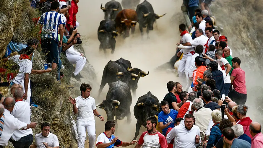 Séptimo encierro del Pilón. PABLO LASAOSA 05