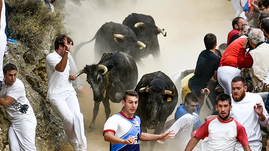 Séptimo encierro del Pilón. PABLO LASAOSA 06
