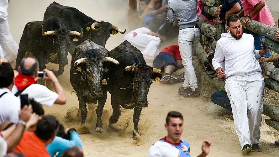 Séptimo encierro del Pilón. PABLO LASAOSA 07