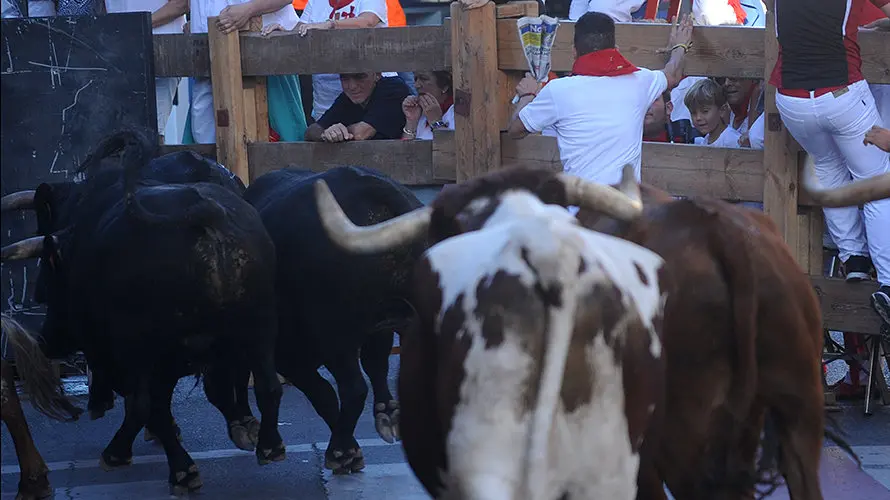 Segundo encierro de novillos en Peralta con la ganaderia San Pelayo. MIGUEL OSÉS (1)