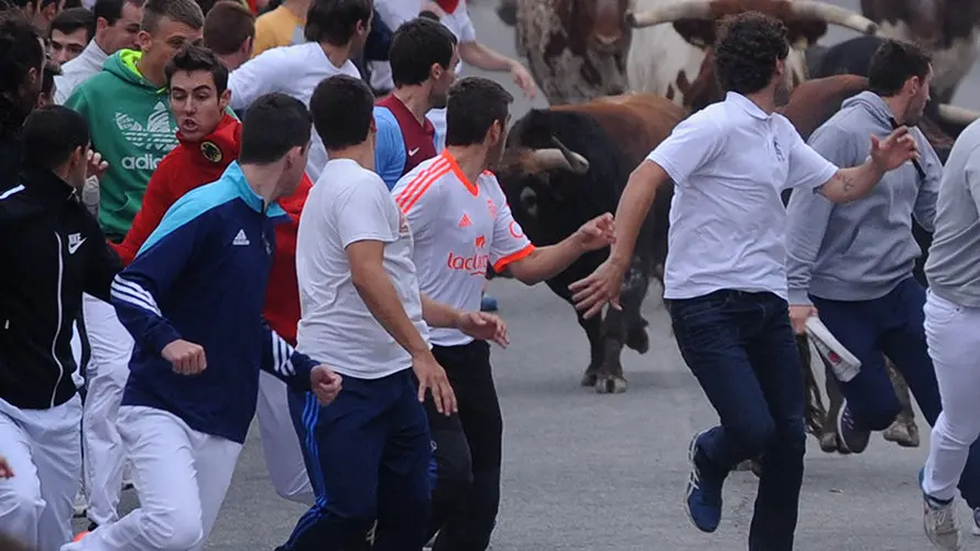 La toros de la ganaderia castellana de Antonio San Roman protagonizan el penultimo encierro de Sangüesa. MIGUEL OSÉS (4)