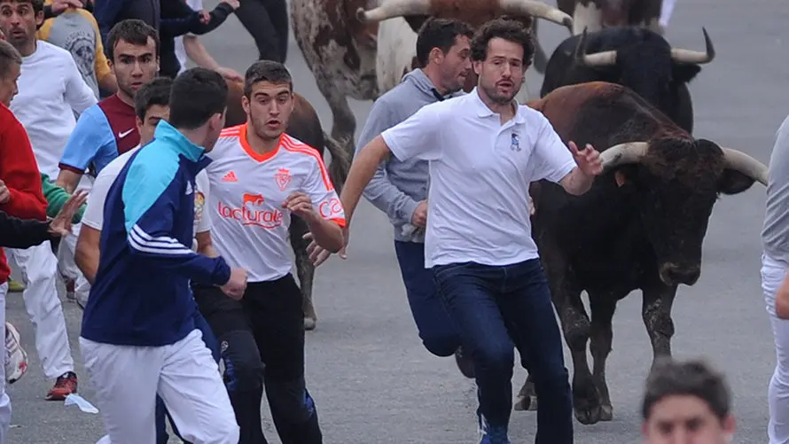 La toros de la ganaderia castellana de Antonio San Roman protagonizan el penultimo encierro de Sangüesa. MIGUEL OSÉS (5)