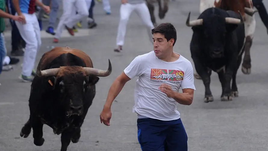 La toros de la ganaderia castellana de Antonio San Roman protagonizan el penultimo encierro de Sangüesa. MIGUEL OSÉS (10)