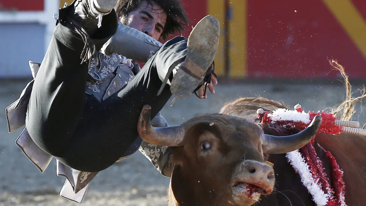 Revolcón sin consecuencias del rejoneador Roberto Armendariz, durante el festejo taurino que se ha celebrado en la localidad navarra de Olite y donde ha compartido feria con Jesulin de Ubrique. EFE/Jesús Diges