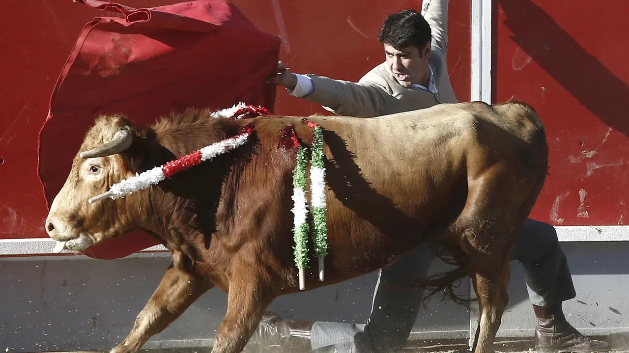 El diestro Jesulin de Ubrique, durante el festejo taurino que se ha celebrado hoy en la localidad navarra de Olite y donde ha compartido feria con el rejoneador Roberto Armendariz. EFE/Jesús Diges