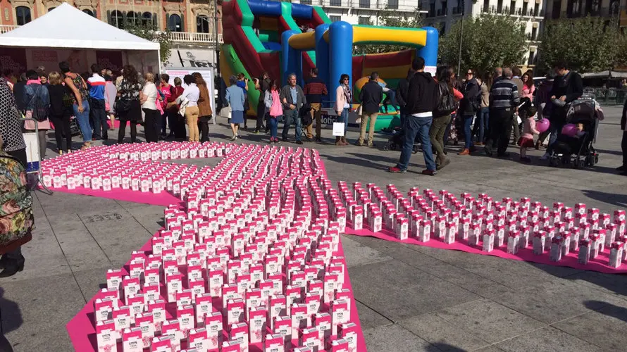 Jornada impulsada por la asociación navarra Saray contra el cáncer de mama. S. REDIN (6)