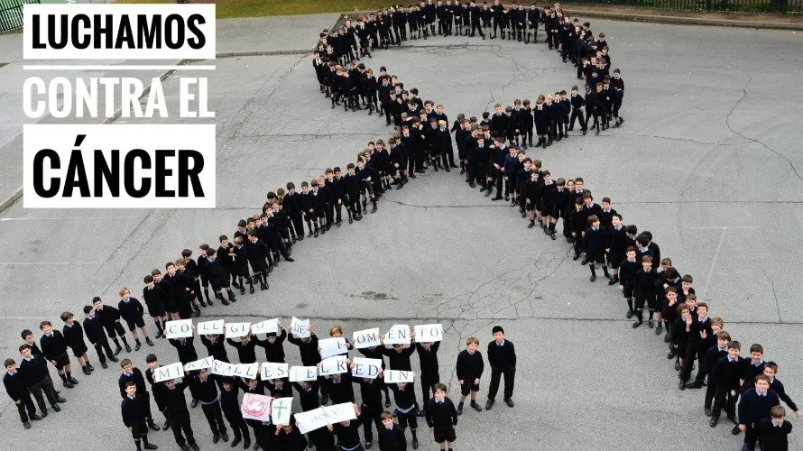 Los niños y alumnos de Navarra se unen contra el cáncer. MIRAVALLES-REDIN