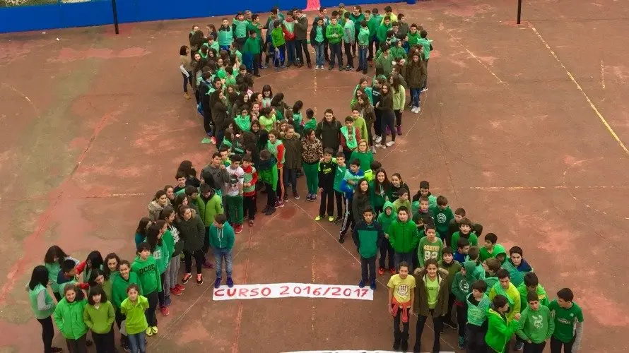 Los niños y alumnos de Navarra se unen contra el cáncer. NUESTRA SEÑORA DEL PUY (ESTELLA)