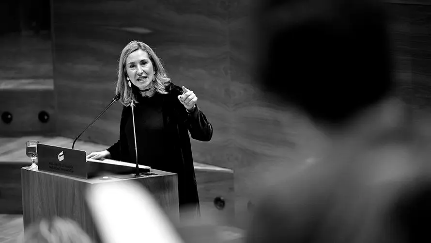 Ana Beltrán, del PPN interviene en el Parlamento de Navarra. PABLO LASAOSA