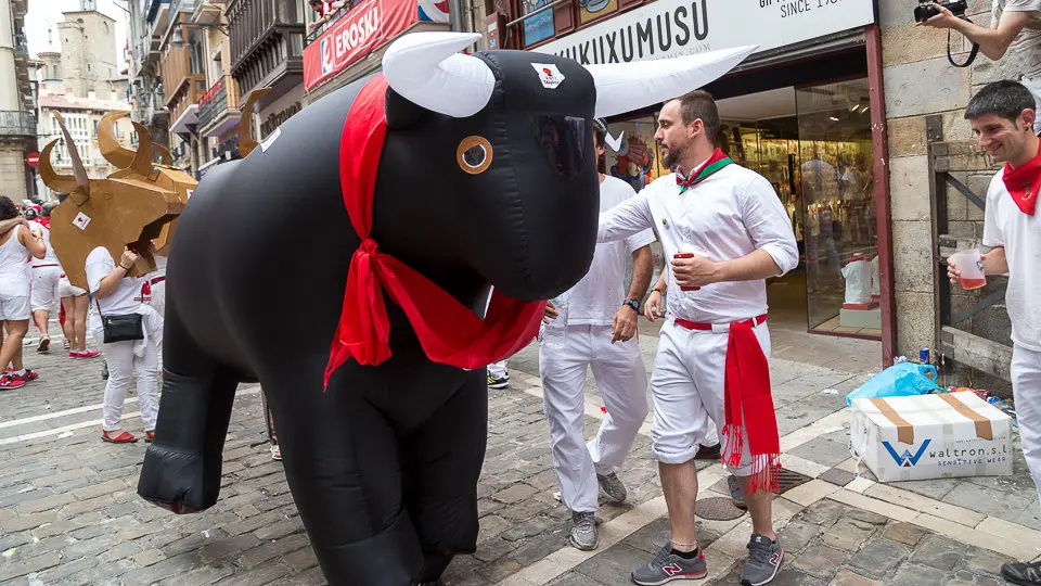 Manifestación antitaurina 'Kalejira Festiva' en el casco antiguo. IÑIGO ALZUGARAY (21)
