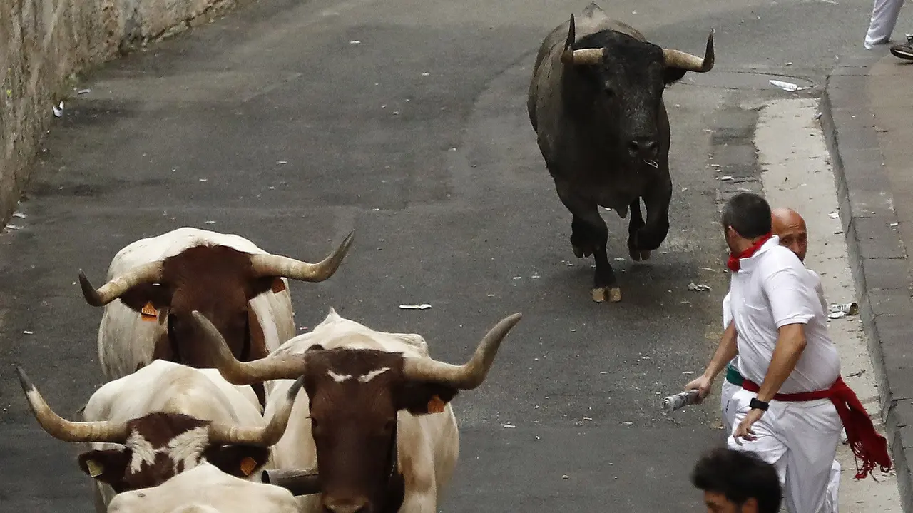 GRA061. PAMPLONA, 08/07/2017.- Un toro de la imprevisible ganadería abulense de José Escolar se ha quedado a pocos metros del corral al comienzo del segundo encierro de los Sanfermines 2017, lo que ha ocasionado hoy una carrera muy larga, de cuatro minutos, pero muy emocionante, en la que cinco corredores han resultado heridos, dos por asta de toro. EFE/Villar López