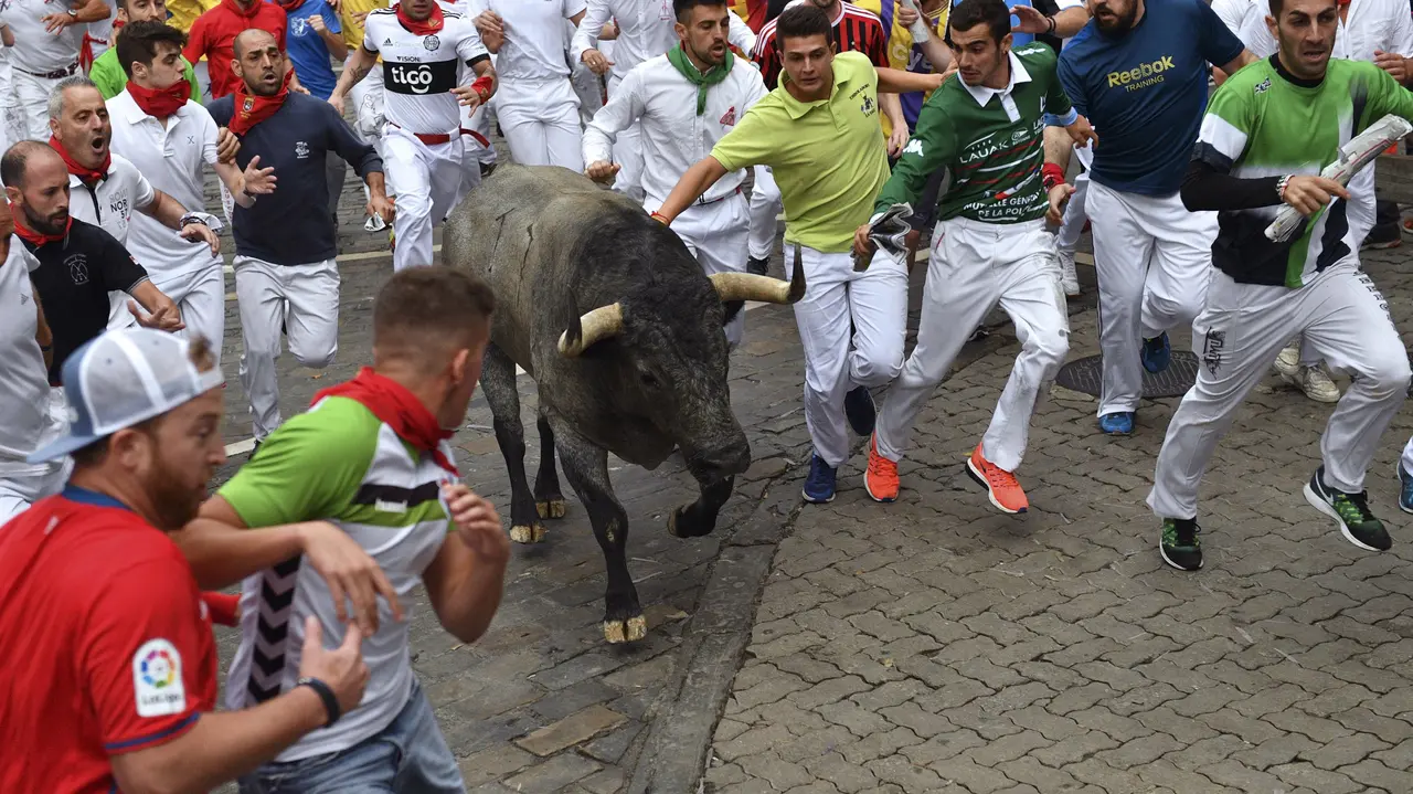 GRA059. PAMPLONA, 08/07/2017.- El último toro de la ganadería abulense de José Escolar Gil llega al tramo de Telefónica, tras hecer todo el recorrido con los mansos de cola al darse la vuelta al comienzo del tramo de Santo Domingo, durante el segundo encierro de los Sanfermines 2017, en el que cinco corredores han resultado heridos, dos por asta de toro. EFE/Daniel Fernández