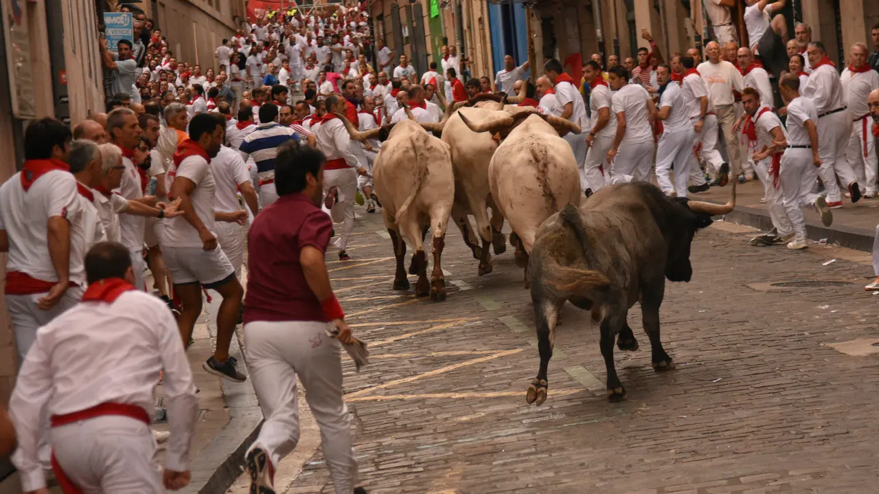 'Diputado' se queda solo en el recorrido del encierro del 7 de julio en Pamplona NATALIE GÓMEZ2