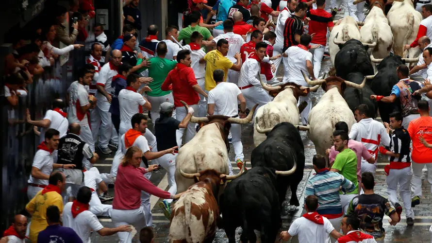 Tercer encierro de los toros de Puerto de San Lorenzo en Estafeta 24 REUTERS