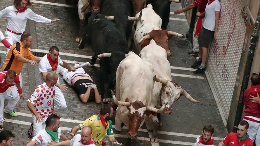 Las imágenes del tercer encierro con los recién llegados Puertos de san Lorenzo en Sanfermines 2017. EFE (8)