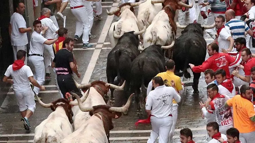 Las imágenes del tercer encierro con los recién llegados Puertos de san Lorenzo en Sanfermines 2017. EFE (9)