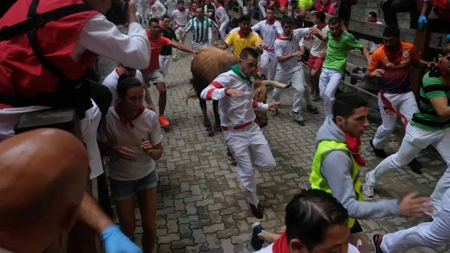 Los toros de Puerto de San Lorenzo a la entrada del callejón. JOSE INDART (2)