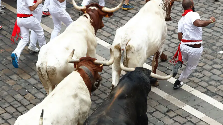 Los toros de la ganader&iacute;a de Fuente Ymbro a su paso por el Ayuntamiento de Pamplona, en el que cuarto encierro de los Sanfermines 2017. EFE (3)