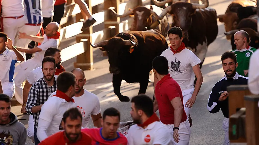 Tercer enccierro de las fiestas de Tudela con la ganaderia navarra de Ana Corera de Larraga. MIGUEL OSÉS (10)