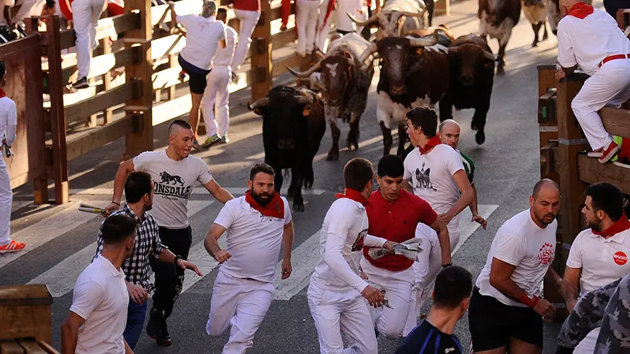Tercer enccierro de las fiestas de Tudela con la ganaderia navarra de Ana Corera de Larraga. MIGUEL OSÉS (11)