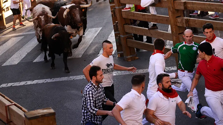 Tercer enccierro de las fiestas de Tudela con la ganaderia navarra de Ana Corera de Larraga. MIGUEL OSÉS (12)