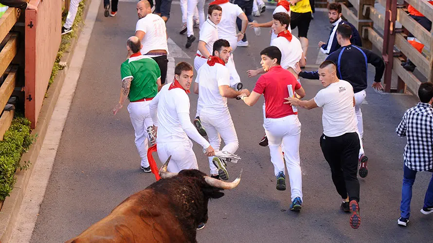 Tercer enccierro de las fiestas de Tudela con la ganaderia navarra de Ana Corera de Larraga. MIGUEL OSÉS (13)