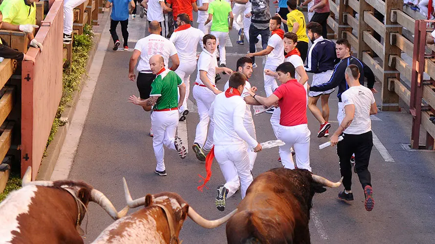 Tercer enccierro de las fiestas de Tudela con la ganaderia navarra de Ana Corera de Larraga. MIGUEL OSÉS (14)