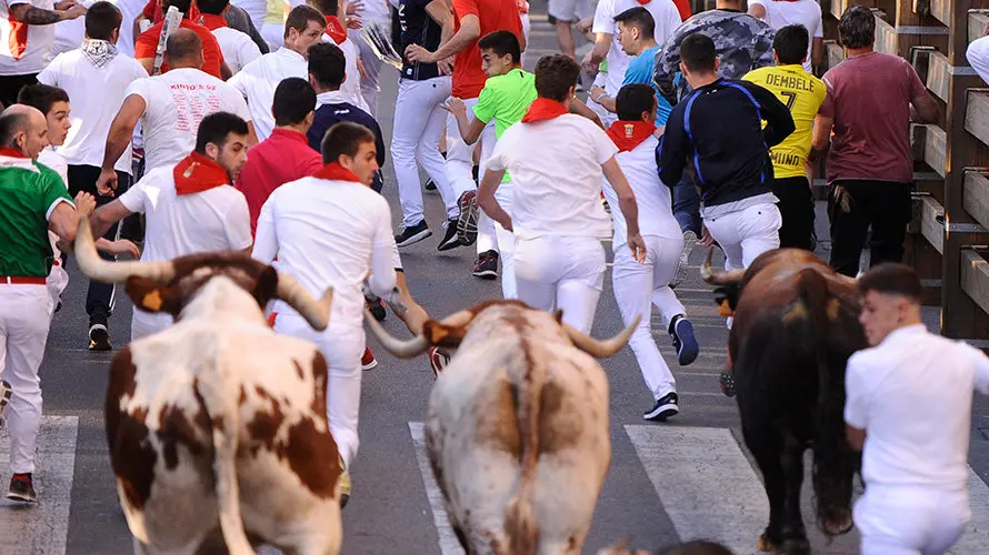 Tercer enccierro de las fiestas de Tudela con la ganaderia navarra de Ana Corera de Larraga. MIGUEL OSÉS (15)