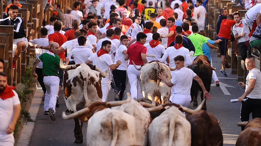 Tercer enccierro de las fiestas de Tudela con la ganaderia navarra de Ana Corera de Larraga. MIGUEL OSÉS (17)
