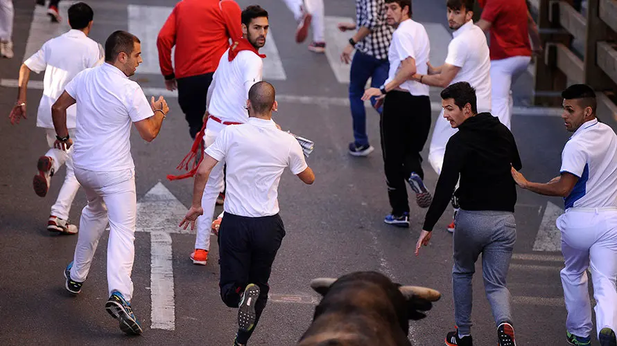 Tercer enccierro de las fiestas de Tudela con la ganaderia navarra de Ana Corera de Larraga. MIGUEL OSÉS (18)