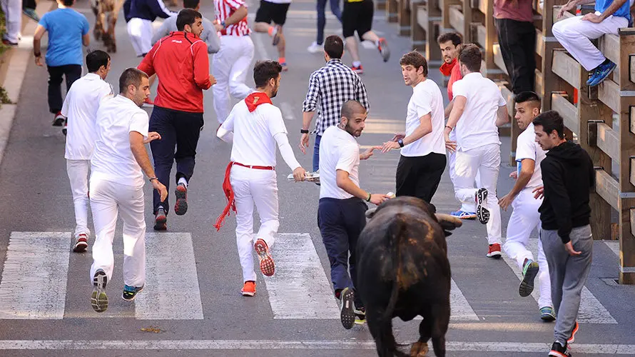 Tercer enccierro de las fiestas de Tudela con la ganaderia navarra de Ana Corera de Larraga. MIGUEL OSÉS (21)