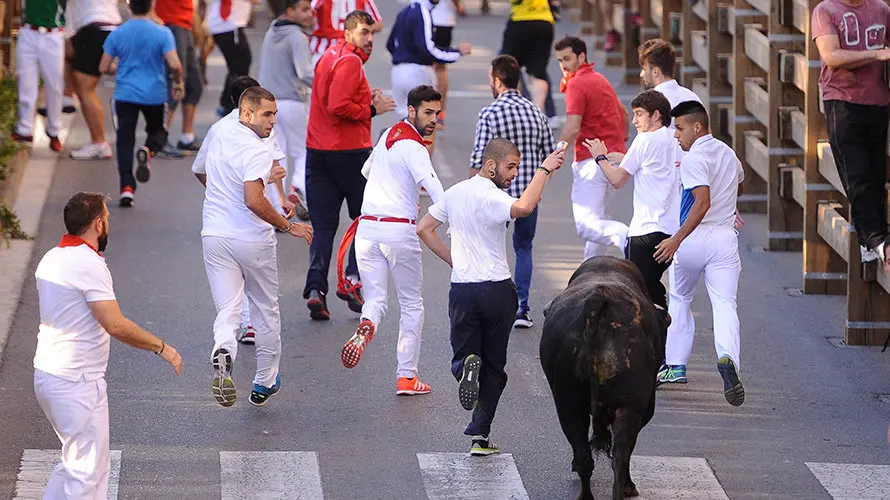Tercer enccierro de las fiestas de Tudela con la ganaderia navarra de Ana Corera de Larraga. MIGUEL OSÉS (22)