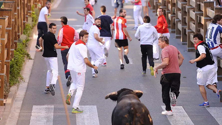 Tercer enccierro de las fiestas de Tudela con la ganaderia navarra de Ana Corera de Larraga. MIGUEL OSÉS (25)