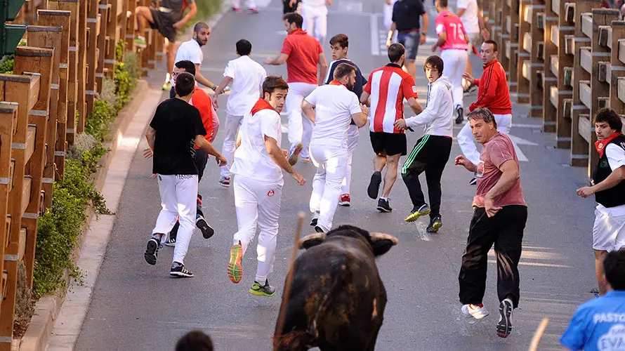 Tercer enccierro de las fiestas de Tudela con la ganaderia navarra de Ana Corera de Larraga. MIGUEL OSÉS (26)