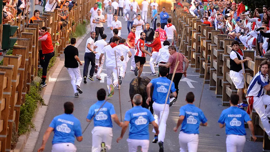 Tercer enccierro de las fiestas de Tudela con la ganaderia navarra de Ana Corera de Larraga. MIGUEL OSÉS (27)