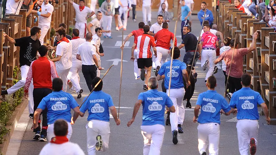 Tercer enccierro de las fiestas de Tudela con la ganaderia navarra de Ana Corera de Larraga. MIGUEL OSÉS (28)