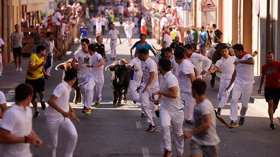 Cuarto encierro de las fiestas de San Adrián con las reses de la ganadería aragonesa de Iván López. MIGUEL OSÉS (1)