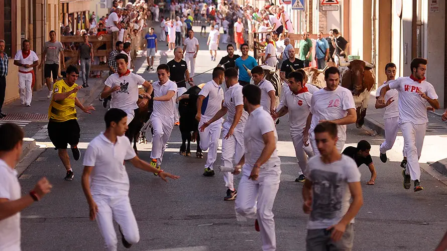 Cuarto encierro de las fiestas de San Adrián con las reses de la ganadería aragonesa de Iván López. MIGUEL OSÉS (2)