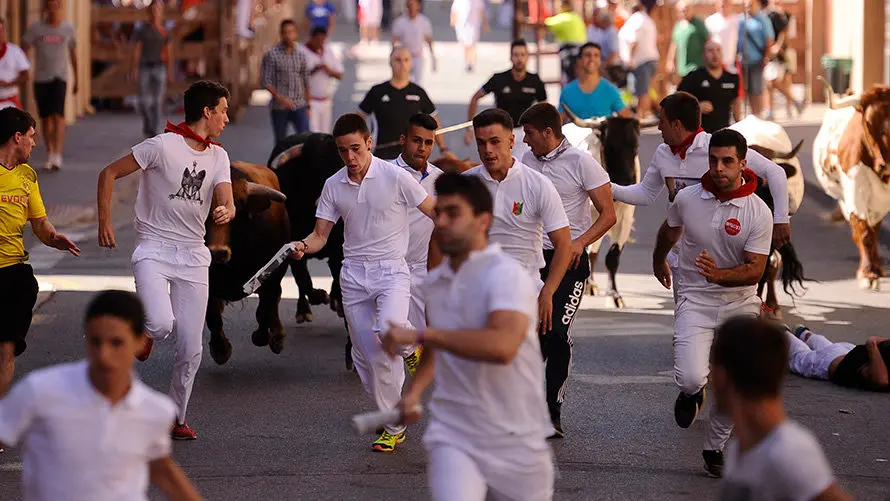 Cuarto encierro de las fiestas de San Adrián con las reses de la ganadería aragonesa de Iván López. MIGUEL OSÉS (3)