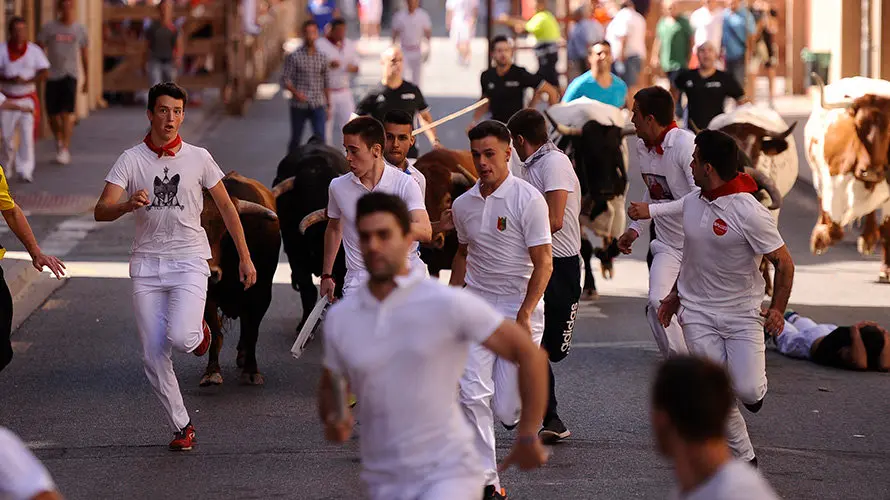 Cuarto encierro de las fiestas de San Adrián con las reses de la ganadería aragonesa de Iván López. MIGUEL OSÉS (4)