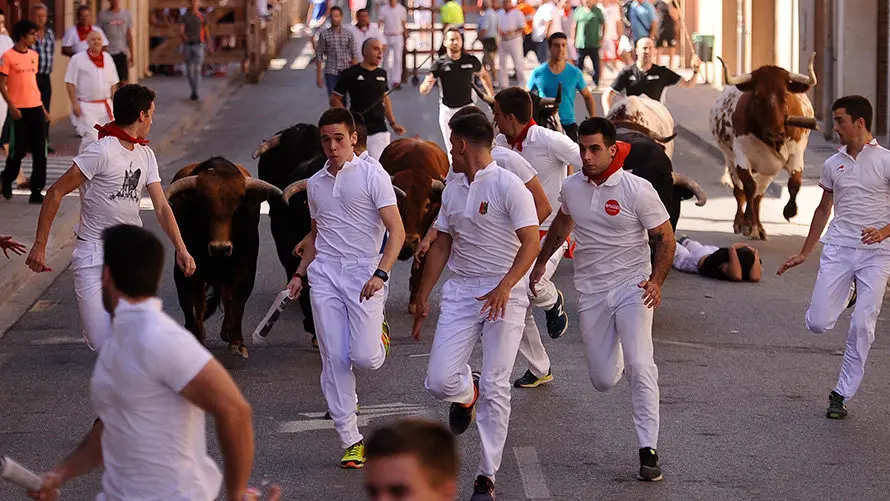 Cuarto encierro de las fiestas de San Adrián con las reses de la ganadería aragonesa de Iván López. MIGUEL OSÉS (5)