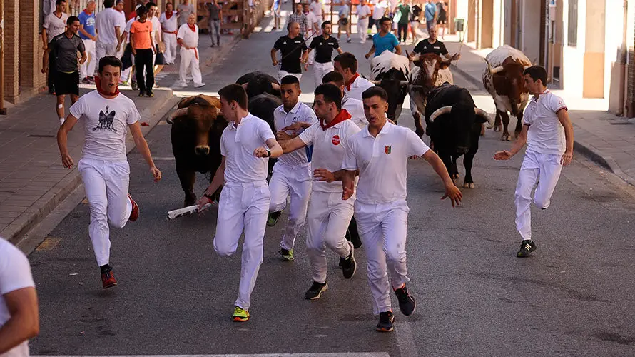 Cuarto encierro de las fiestas de San Adrián con las reses de la ganadería aragonesa de Iván López. MIGUEL OSÉS (6)