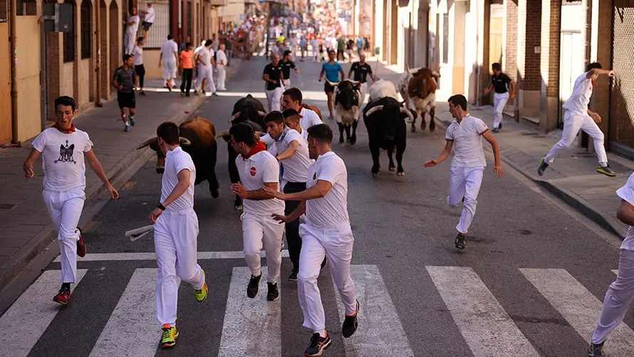 Cuarto encierro de las fiestas de San Adrián con las reses de la ganadería aragonesa de Iván López. MIGUEL OSÉS (7)