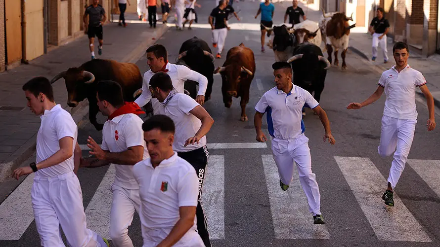 Cuarto encierro de las fiestas de San Adrián con las reses de la ganadería aragonesa de Iván López. MIGUEL OSÉS (8)