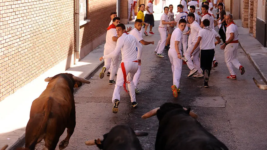 Cuarto encierro de las fiestas de San Adrián con las reses de la ganadería aragonesa de Iván López. MIGUEL OSÉS (9)